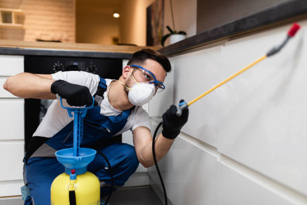 Best Pest Inspection Near Me  in Twentynine Palms, CA