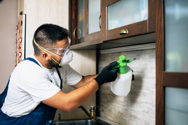 Best Emergency Pest Control  in Twentynine Palms, CA