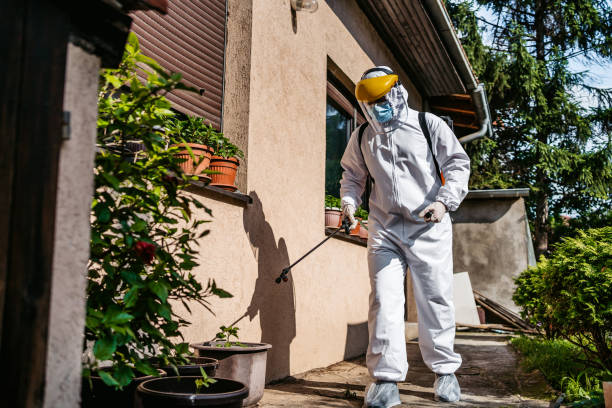 Best Termite Control Services  in Twentynine Palms, CA
