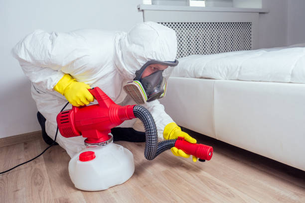 Best Wildlife Control Services  in Twentynine Palms, CA