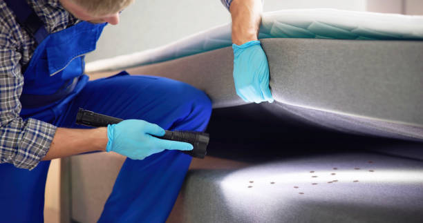 Best Bed Bug Extermination  in Twentynine Palms, CA