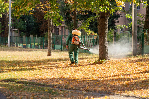 Best Best Pest Control Companies  in Twentynine Palms, CA