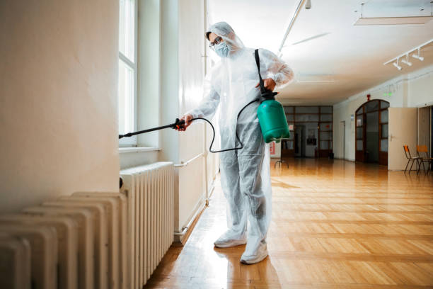 Best Mosquito Control Services  in Twentynine Palms, CA